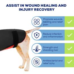 LED Red Infrared Light Dog Clothes, Terapia de alívio da dor animal, Wrap Belt, Casaco para Pet Back, 660nm 850nm - Image 6