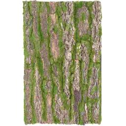 Terrário de cortiça fundo animais réptil árvore casca decoração para répteis tubo de esgoto - Image 1