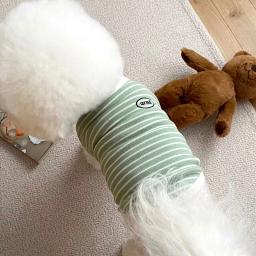 Roupa listrada verde para cães, colete de pelúcia, macio do que o urso, camiseta de cachorro pequeno, moda pet, verão - Image 4