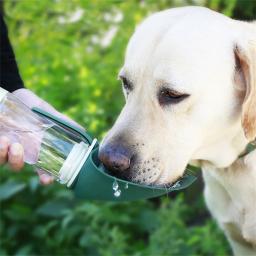 Portátil Pet água tigela e alimentador de alimentos para cães e gatos, garrafa dobrável, viagens ao ar livre, chihuahua bebedor suprimentos - Image 6