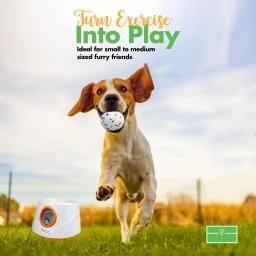 Máquina automática de buscar bolas para cães, lançador de bolas para cães pequenos e médios, 3 dimensões de lançamento, lançador de bolas para brinquedos para cães - Image 6