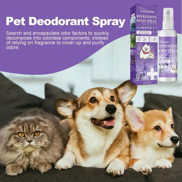 Desodorante de Lavanda para Animais: Elimina Odor e Limpa Fezes em Cães - 50ml
