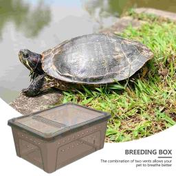 Caixa de alimentação para répteis, aquário, tartarugas, água, tanque de peixes, guppy, banheira de reprodução, mar para terrários, répteis, recipiente, fornecimento principal - Image 5