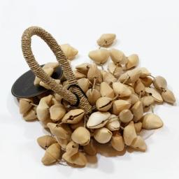 Instrumentos de percussão naturais, sino de mão, casca de fruta natural, cura semente, porca, handbell, som terapia - Image 3