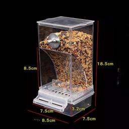 Alimentador Automático para Periquitos Pequenos e Médios, Sem Alimentadores de Pássaros, Recipiente De Alimento De Semente De Acrílico, Bebedor, Gaiola Acessórios - Image 4