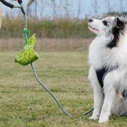Portátil Hands-Free Pet Poop Bag Holder, corda de tração do cão, lixo portátil gancho Bag Clip, Ferramentas de limpeza Suprimentos, 1 Pc - Image 5