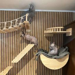 Conjunto De Escalada De Gato De Parede, Torre De Árvore, Cama Pendurada, Arranhador De Sisal, Escada De Escalada, Mobiliário De Atividade De Gato - Image 3