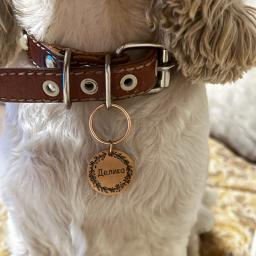 Pingente de identificação para animais de estimação, acessório de coleira personalizada com nome e número para gato e cachorro - Image 5