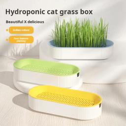 Hidropônico Solo Plantando Pot Set para Fácil Crescimento, Caixa De Grama, Cat Treats, Catnip - Image 2