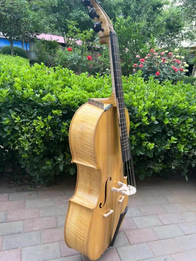 Padrão Completo de Escala para Violoncelo e Arpeggione com 24 Cordas Simpáticas