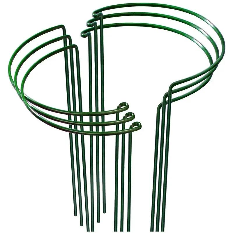 Estacas de suporte de plantas, metade do metal redondo, gaiola e suporte de jardim, suporte de plantas verdes, borda do anel para flor, interior, 6pcs - Image 1