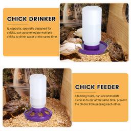 Balde alimentador de frango, Fonte de água automática, Chick Drinker Bucket, Beber Codorna Beber, Equipamento Bird, Waterer, 1L - Image 5