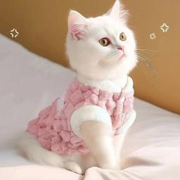 Camisola de pelúcia com fivela para animais de estimação, Roupas com estampa Sweet Bear, Jaqueta de botão para cães pequenos, Pomerânia, Chihuahua, Cachorro, Inverno - Image 3