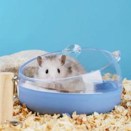 Caixa De Banho De Areia De Animais Pequenos, Banheiro De Gaiola, Casa De Hamster, Ratos, Coelho, Animais De Estimação - Image 5