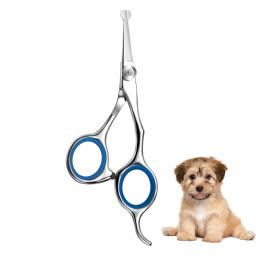 Aço inoxidável Pet Hair Scissors, Dog Trimming Grooming Shears, Animal Cutting, Pés, Orelha, Olho, Animais de estimação - Image 3
