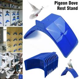 Descanso stand para aves, pomba, pombo, poleiros pássaro, poleiros, poleiro suprimentos - Image 5