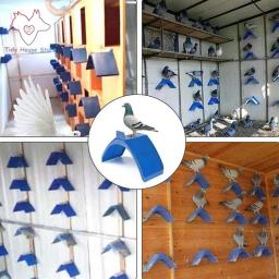 1PC/10PCS Moda Plástico Pombo Poleiro Pomba Azul Resto Stand Quadro Papagaios Alojamento Pombo Poleiros Poleiro Para Suprimentos de Pássaro - Image 1