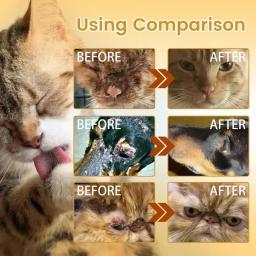 Pet Skin Care Soro para cães e gatos, queda de cabelo, líquido hidratante, reparação, óleo - Image 5