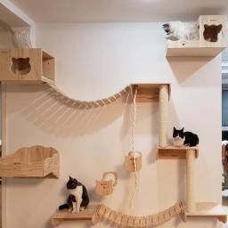 Casa na árvore de madeira para gatos, arranhando plataforma de escalada, parede, escada escadas, Kitty Gift, Pet Supplies - Image 2
