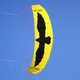 Grande Quad Line Power Kite para Adultos, Parafoil Board, Surf para Surf, Frete Grátis, 5 m - Image 2