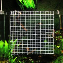 Divisor peixes para tanque, caixa plástico para aquário, placa separação, placa isolamento peixes para do - Image 5