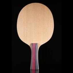 Conjunto De Raquete De Tênis De Mesa Profissional, Raquete De Ping Pong, Espinhas-em Madeira Pura, Alta Qualidade, Lâmina Bat, Pá, Punho Longo - Image 4