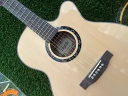 Guitarra Acústica Tayste com Cordas, Cordas da China, Instrumentos de Cordas - Image 6