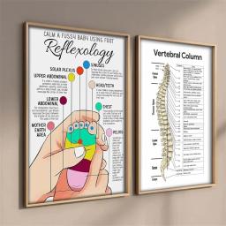 Estrutura Do Corpo Humano FACE Anatomia Cartaz, Sistema Muscular, Voltar EDUCATItional, Pele, Músculos Faciais, Wall Art, Decoração Do Quarto - Image 2