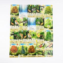 Jogo de cartas Forest Shuffle - Jogo de estratégia inteligente Jogo de família divertido para crianças e adultos - Woodland Edge、 ALPINE、 Jogo de expansão - Image 5