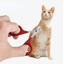 Profissional Cat Nail Scissors, Pet Dog Nail Clippers, Toe Garra Trimmer, Pet Grooming Suprimentos, Pequenos Produtos, Gadgets Do Cão - Image 2