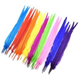 Penas de feisão naturais coloridas para artesanato, decoração de penas grandes longas, acessórios de carnaval decoração, atacado, 40 a 45cm - Image 3