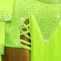 Roupas de dança latina feminina linha traje novo vestido palco meninas samba terno roupas festa desempenho prática usar saias bola sexy - Image 6