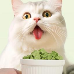 Lanche natural para limpeza dentes gato, lanche liofilizado para controle bola gato - Image 2