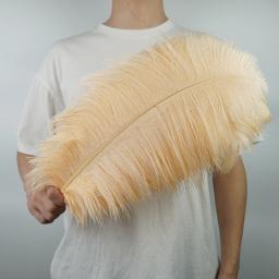 10 pçs/lote novas penas de avestruz coloridas decoração de penas brancas diy peças centrais de mesa vasos artesanato acessórios de carnaval decoração - Image 2