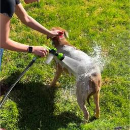 Ajustável de alta pressão pulverizador bocal mangueira, Dog Shower Gun, Pet Wash Limpeza, Espuma de água do banho, pulverizador de sabão, 3 modos, Clean Tool - Image 2