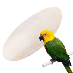 Cálcio Chewing Toys for Pets, Perch, Hanging Bell, Suplementos de cálcio, Molares, Lula Ossos, Gaiola de calopsita, Bird Food, Periquito, Hamster - Image 2