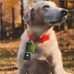 Trela do cão ao ar livre com lanterna, resíduos sacos dispensador, poop suporte de conexão, suprimentos caixa, transportadora colarinho, cachorro - Image 2