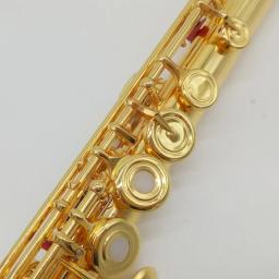 Flauta profissional BC6020 banhado a ouro flautas botão francês dividir E mecanismo B perna flauta 17 buracos abertos - Image 6