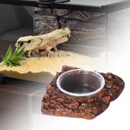 Prato alimentador sapos lagartos anfíbios alimentação réptil comida tigela de água para camaleão aranhas tartaruga leopardo gecko dragões barbudos - Image 4