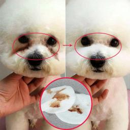 Toalhetes portáteis para Pet, Lágrima de Olhos, Removedor de Manchas de Orelha, Toalhas de Limpeza para Cães e Gatos, 130PCs - Image 3