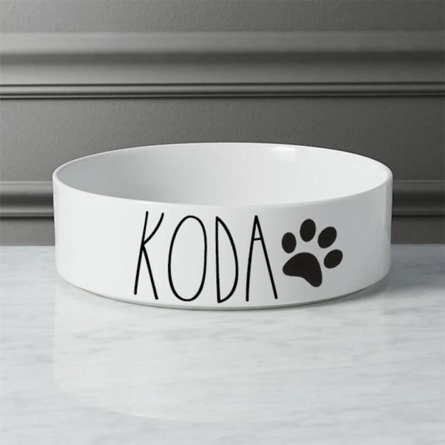 Alimentação personalizável para pets: tigelas de água e com nome para cães e gatos