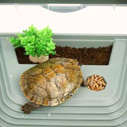 Casa destacável para répteis, recipiente para tanque tartaruga, fácil trocar, habitat plástico água com áreas para - Image 3
