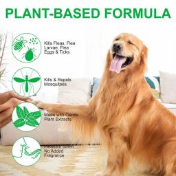Natural Care Spray de pulgas e carrapatos para animais, Interior e Exterior, Spray de pulgas para cães e gatos, Pet Protect, 100ml - Image 4