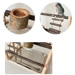 Suporte de poleiro de madeira natural para playground de pássaros, papagaio, com bandeja de aço inoxidável, escada, copo de alimentação para pássaros, acessórios de suprimentos - Image 2