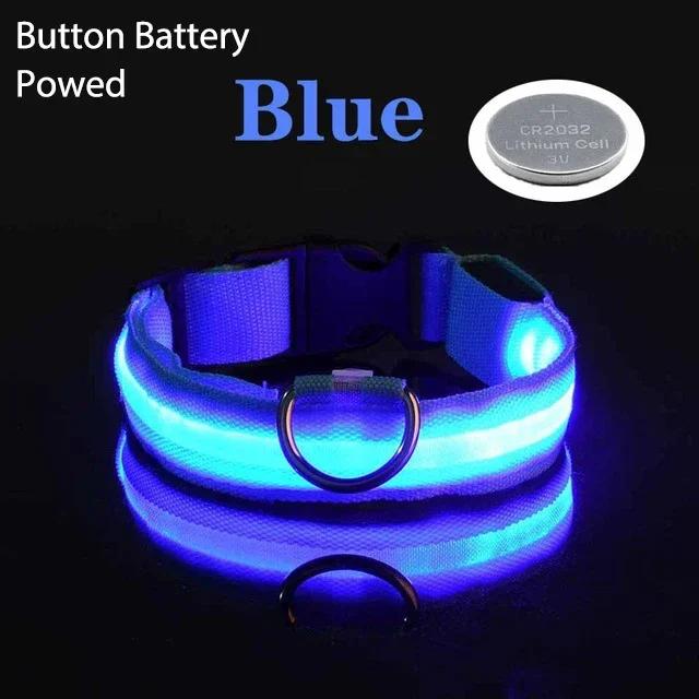 Carregamento USB LED Dog Collar, Safety Night Light, colar piscando, colares fluorescentes, Pet fornecimentos - Image 1