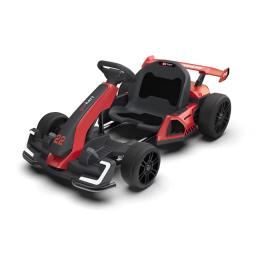 Carros elétricos de corrida, karting, 300w, condução dupla, pedal de grande potência, drift elétrico, karts para crianças e adultos, bateria 24v 5ah - Image 2