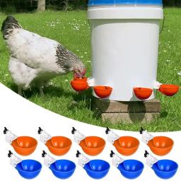 Alimentador automático de água de frango, bebedouro automático, alimentação de aves, rega, 4pcs - Image 1