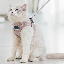 Conjunto reflexivo de arnês do peito para cães e gatos, Arnês de estimação respirável, sem coleiras, cães pequenos e médios andando - Image 5