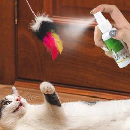 Cat Catnip Spray para gatinhos e gatos, ingredientes saudáveis, fácil de usar, suprimentos seguros para animais, atraente, 50ml - Image 4