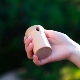 Portátil de madeira pássaros som apito ao ar livre ferramentas multifuncionais crianças brinquedos educativos presentes do bebê orff instrumentos musicais - Image 1